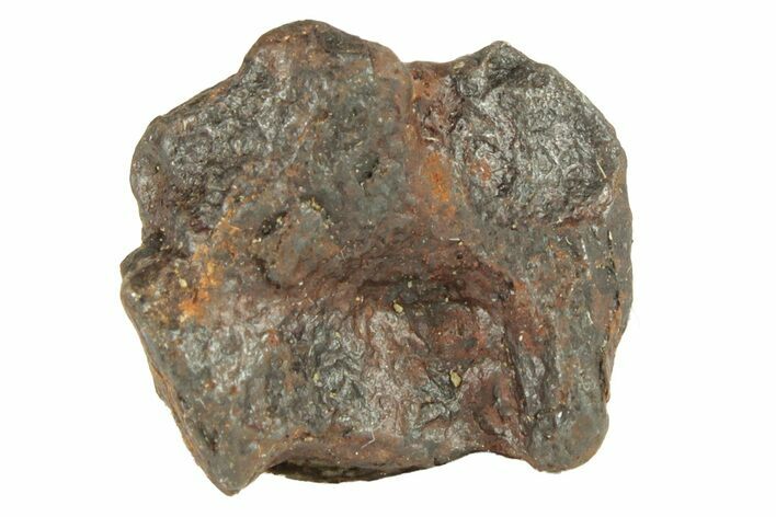 Canyon Diablo Iron Meteorite ( g) - Arizona #270812